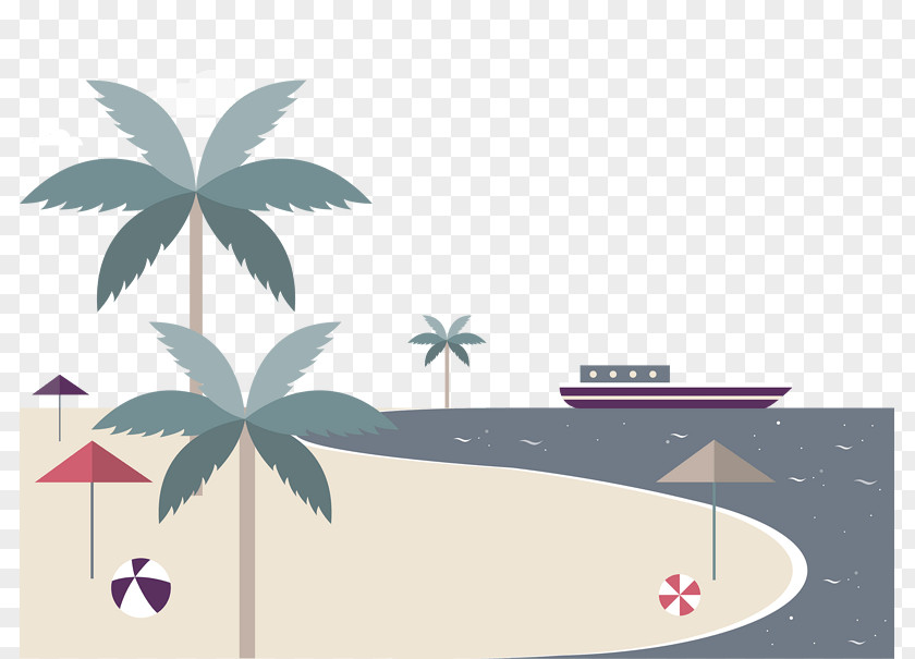 Hoa Hai Beach Vector Graphics Illustration Design Image PNG