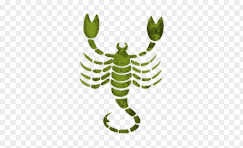 Scorpion Drawing Cliparts Scorpio Astrological Sign Zodiac Horoscope Sagittarius PNG