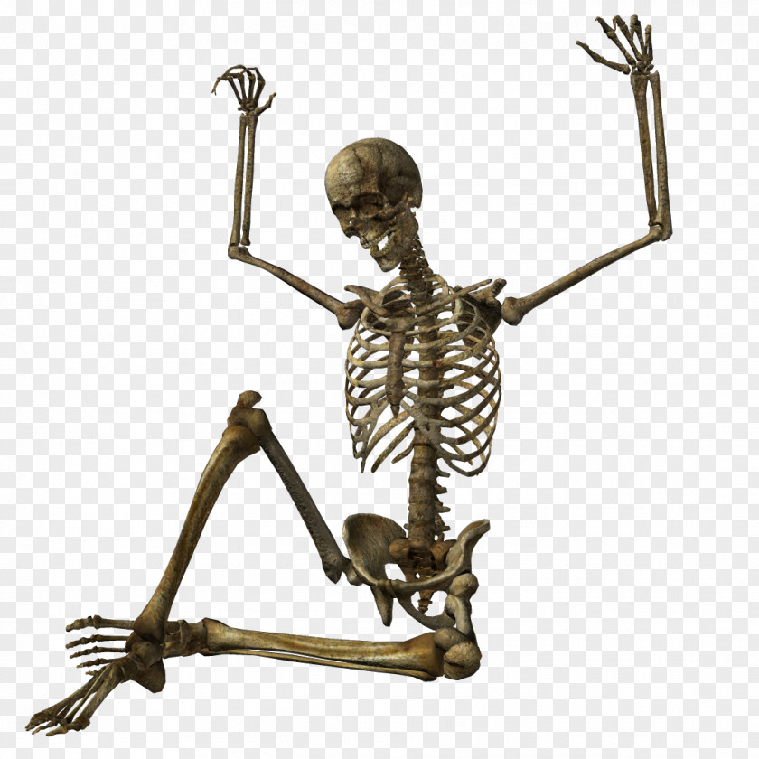 Skeleton Image EverQuest II Habitica Wikia PNG