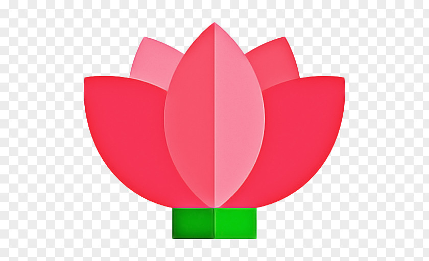 Symbol Coquelicot Petal Red Leaf Pink Tulip PNG