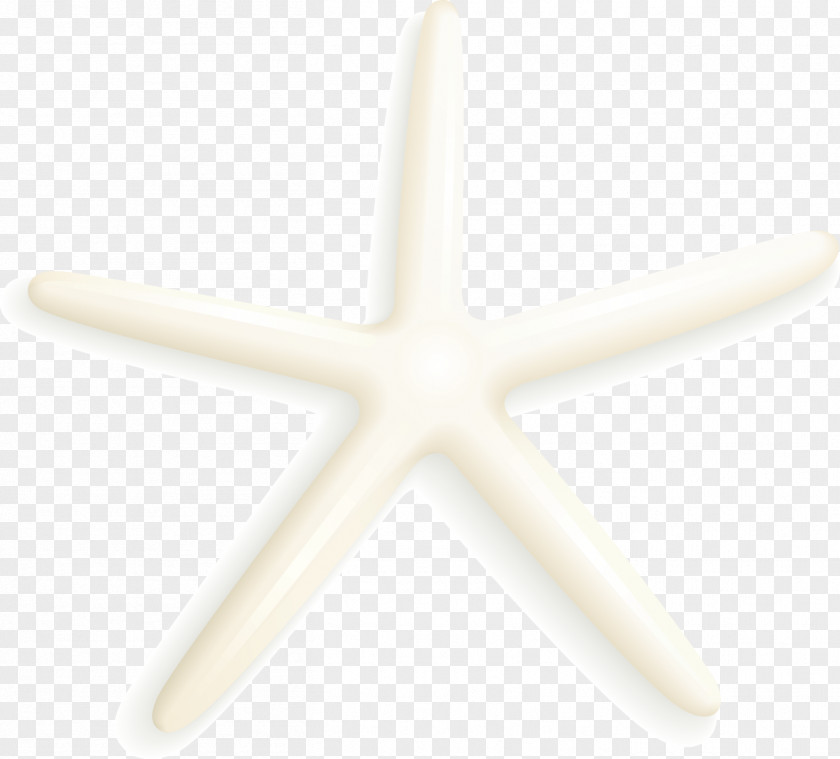 White Starfish Angle Cadmium Pigments PNG