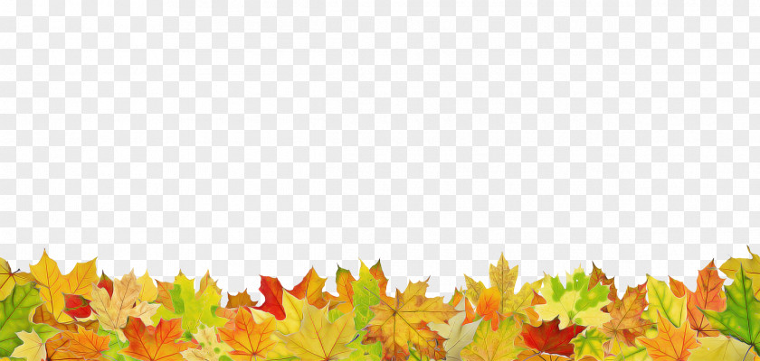 Autumn Plant Leaf PNG