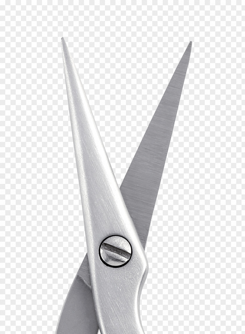 Eyebrow Brush Scissors Cosmetics Shape-Up PNG