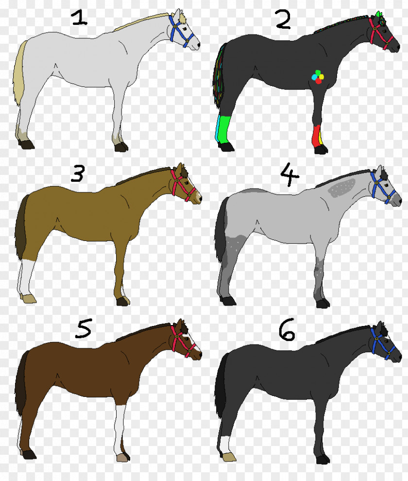 Horse Mule Foal Stallion Pony PNG