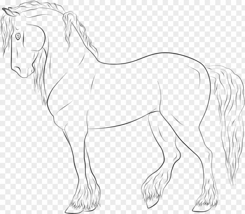 Horse Star Stable Foal Line Art Drawing PNG