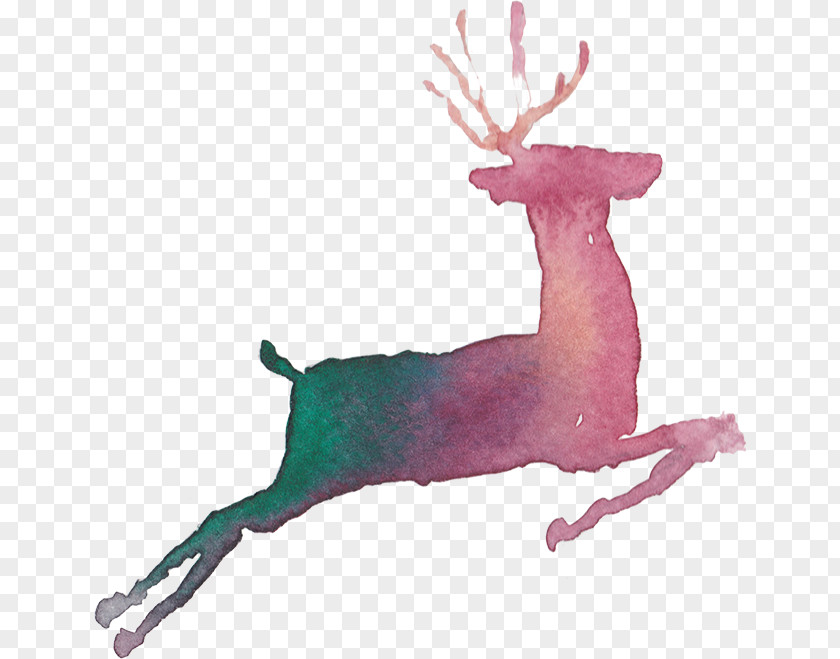 Painted Deer Running Reindeer Gazelle PNG