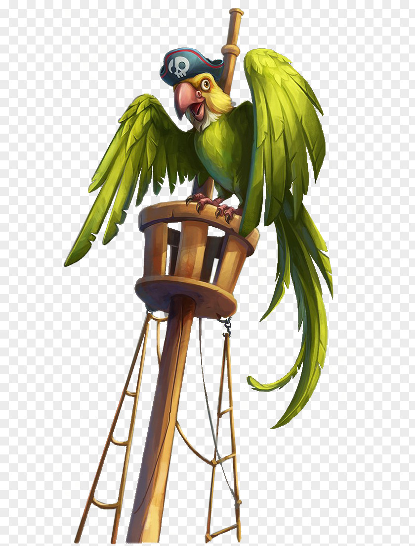 Pirate Parrot With Green Cap Macaw Piracy PNG