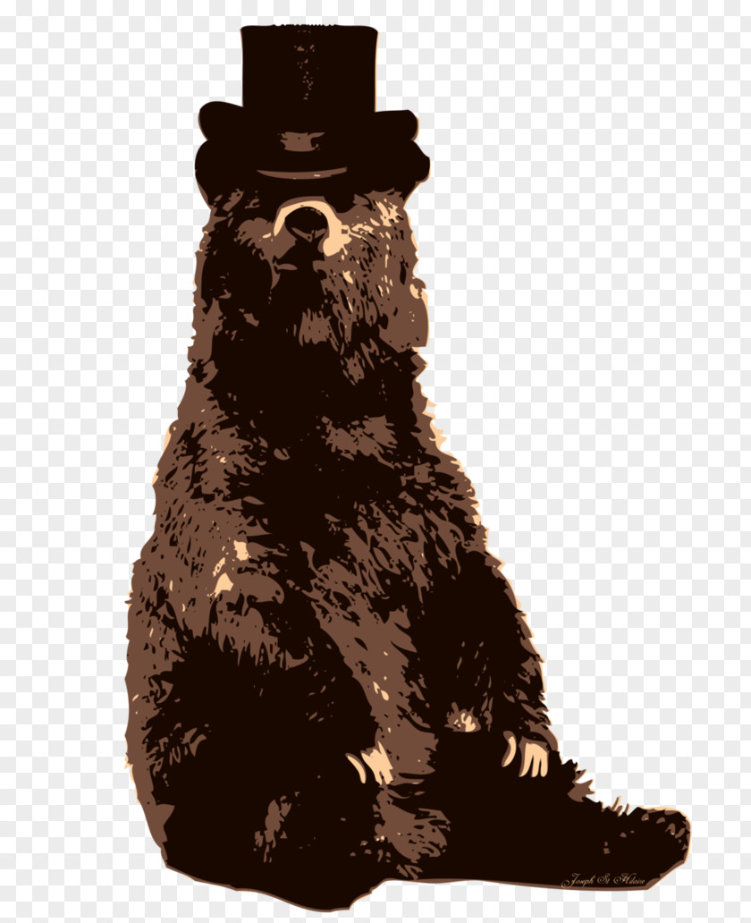 Bears Bear Party Hat Top PNG
