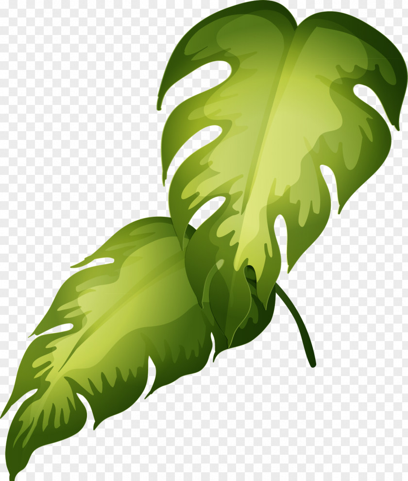 Cartoon Green Leaf Material Ornamental Plant Clip Art PNG