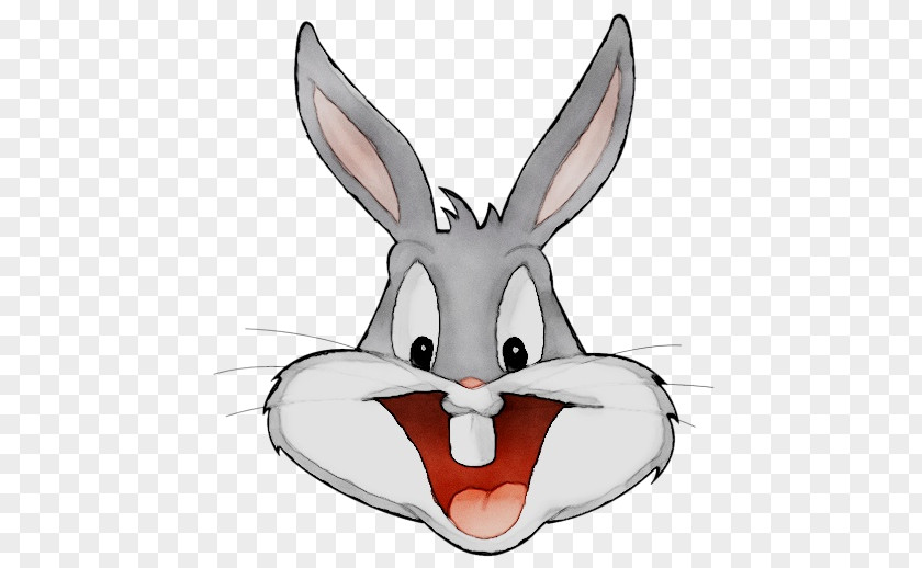 Clip Art Domestic Rabbit Money Pound Sterling PNG