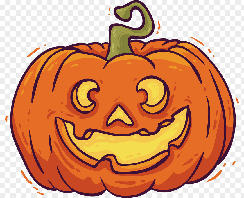Decorative Squashes Halloween Pumpkin Image Vector Graphics Design PNG
