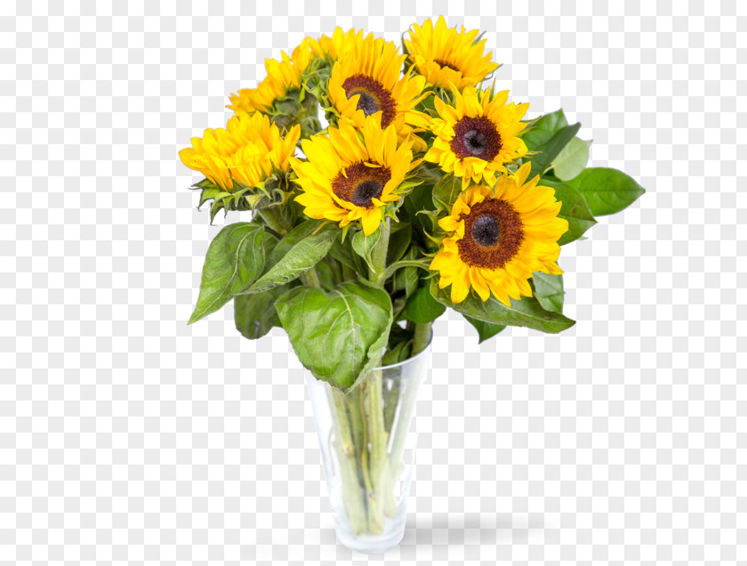 Gift Items Common Sunflower Cut Flowers Flower Bouquet Floral Design PNG