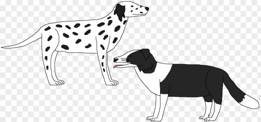Groupofdogsblackandwhite Dalmatian Dog Italian Greyhound Puppy Breed Cat PNG