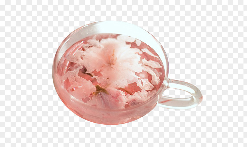 Japanese Cherry Tea Kyoto Flowering Chrysanthemum Blossom PNG