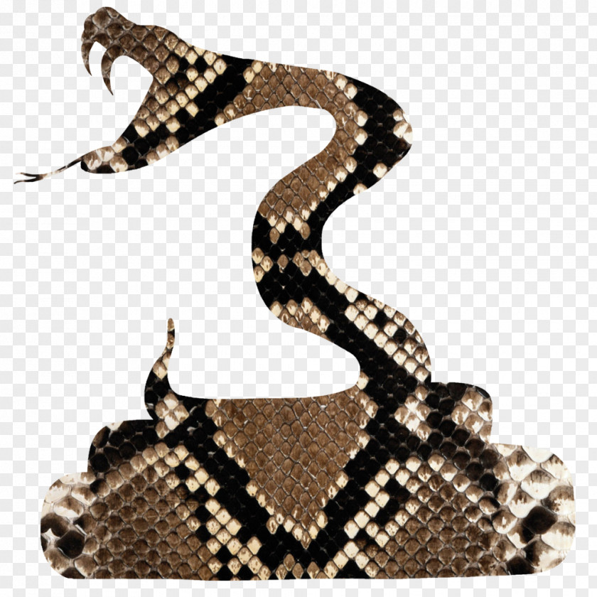 Snake Rattlesnake Vipers Silhouette PNG