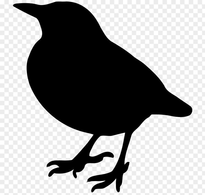 Branch Bird Silhouette Crane American Crow Clip Art PNG