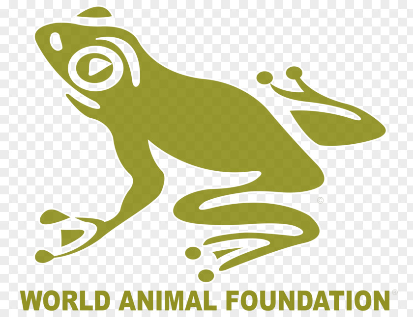 Forset Cabin Non-profit Organisation Organization Animal Welfare World Protection PNG