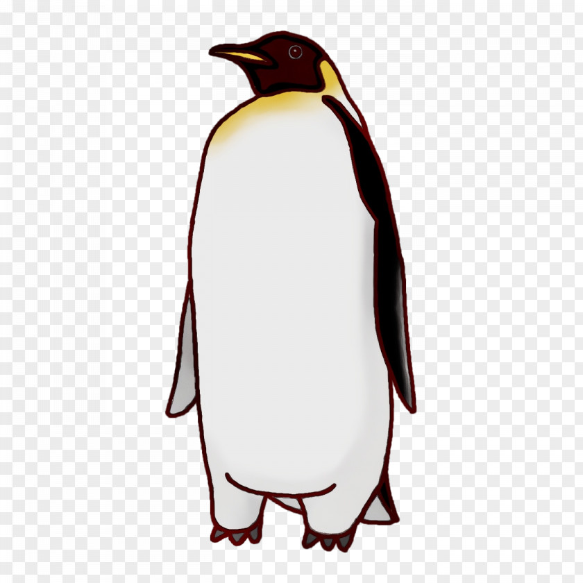 King Penguin Penguins Beak PNG