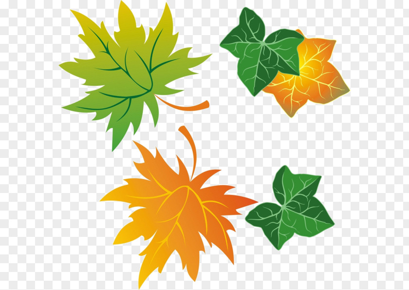 Leaf Maple Clip Art PNG