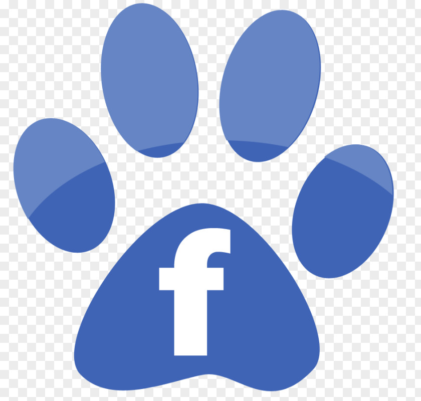 Like Us On Facebook Pet Sitting Soft-coated Wheaten Terrier Labrador Retriever Maltese Dog Puppy PNG
