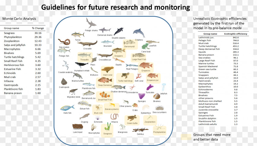 Line Document Organism PNG