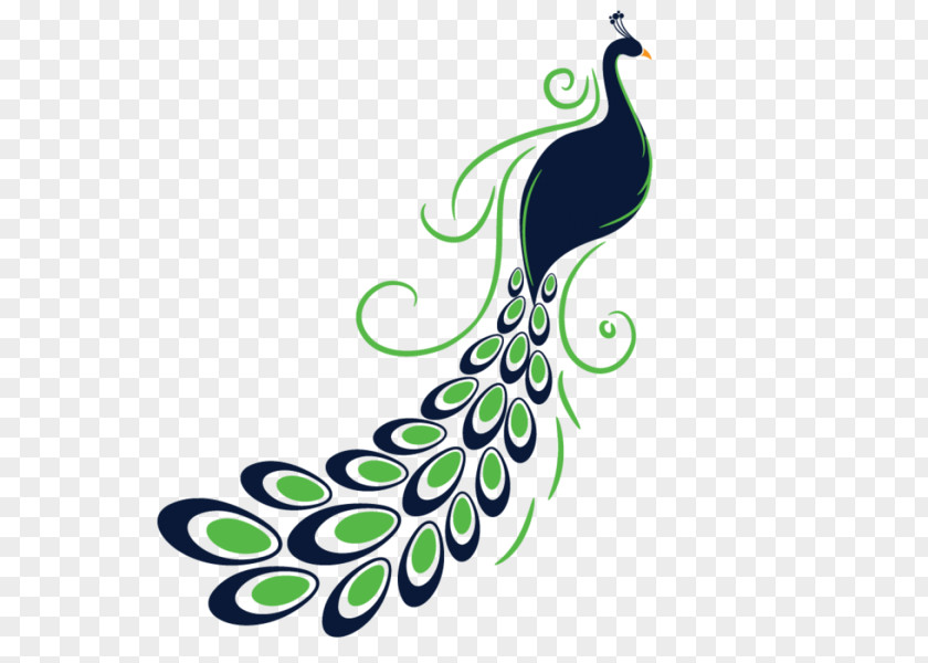 Peacock Feather Bird Peafowl Clip Art PNG