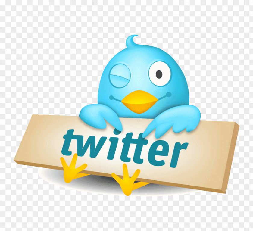 Social Media Twitter Logo Network Animation PNG