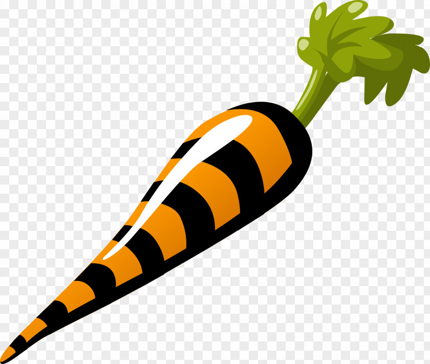 Vector Carrot Vegetable Clip Art PNG