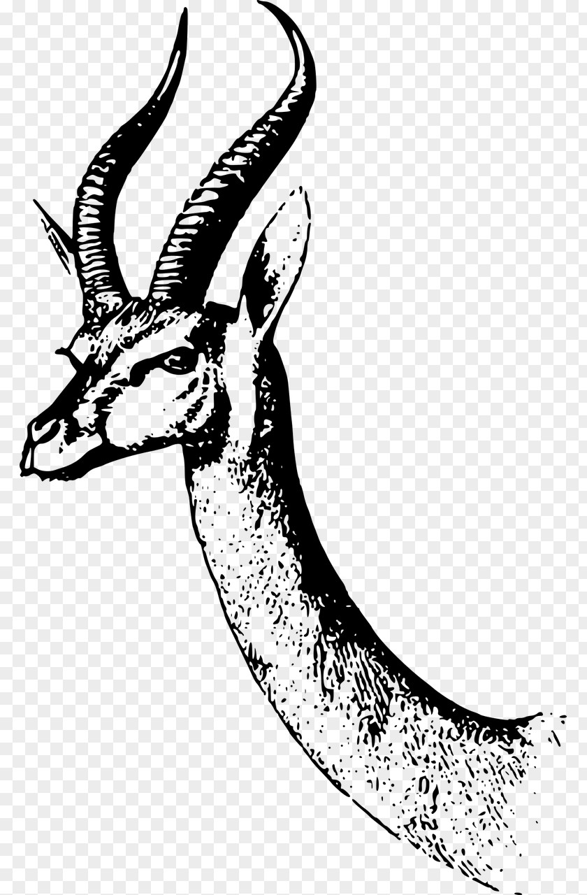 Gazelle Antelope Dama Clip Art PNG