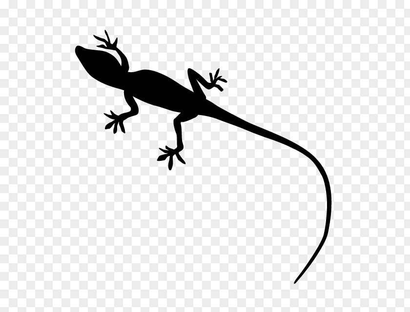 Lizard Gecko Reptile Silhouette PNG