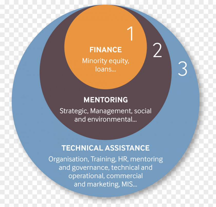 Model Minority Cercle Vertueux Investment Investor Empresa Impact Investing PNG