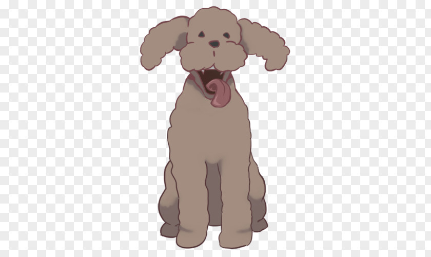 Poodle Dog Breed Puppy Vertebrate Canidae PNG