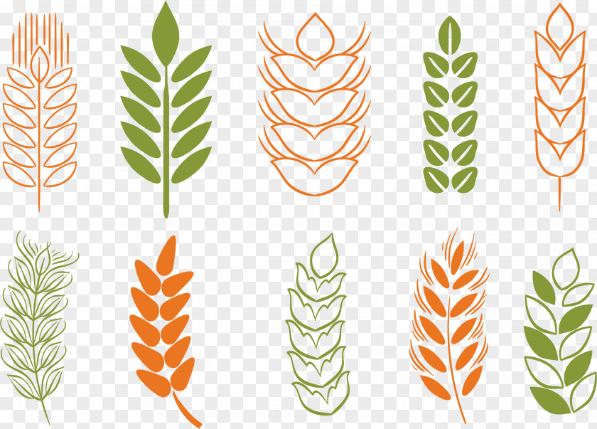 Rice Ear Icon Wheat Cereal PNG