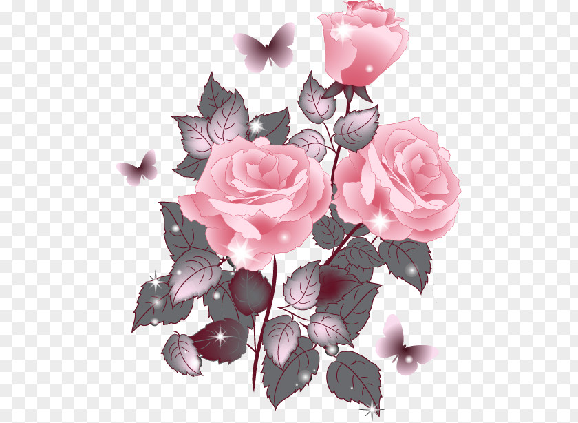 Design Garden Roses Centifolia Floribunda PNG