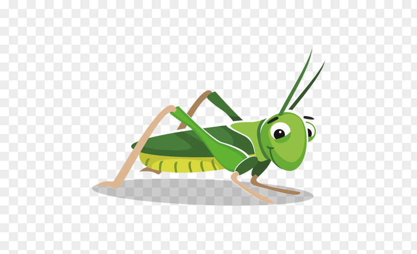 Grasshopper Cartoon Clip Art PNG
