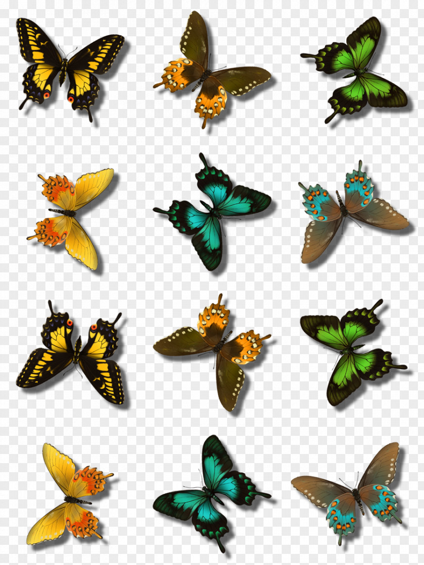 Monarch Butterfly PaintShop Pro GIMP PNG