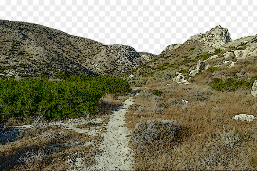 Outcrop Geology Terrain Shrubland Nature PNG