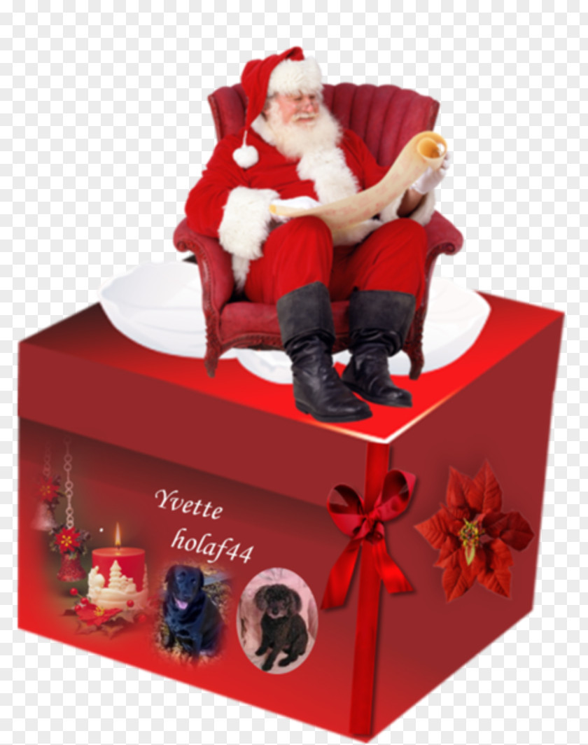 Santa Claus Ded Moroz Mrs. Gift Christmas Ornament PNG
