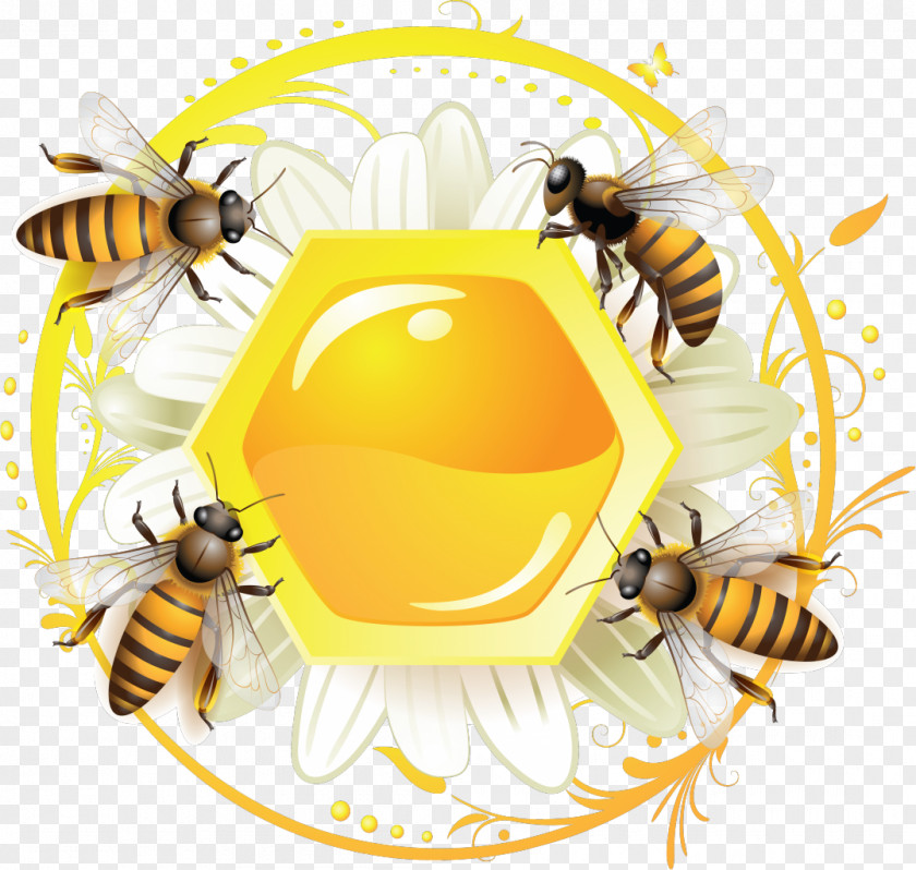 Bee Western Honey Label PNG