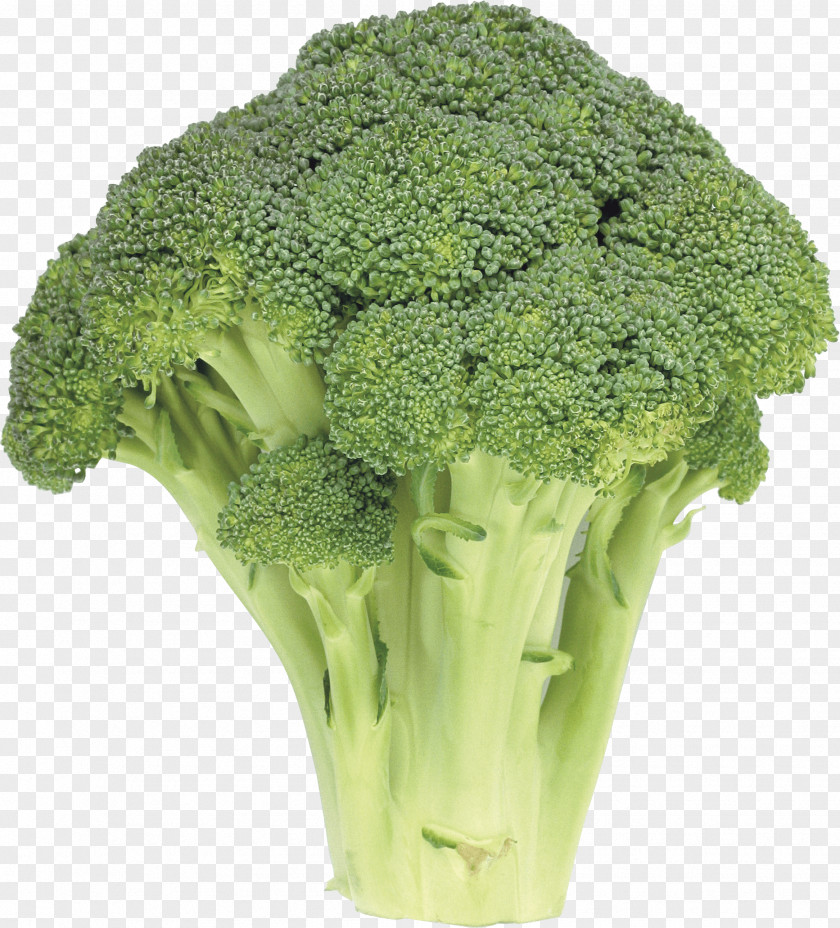 Broccoli Image Slaw Vegetable PNG