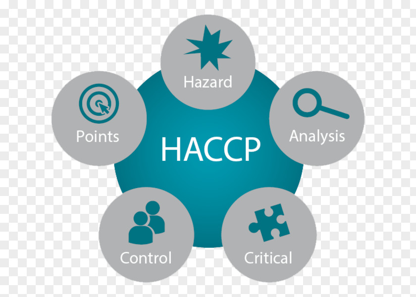 Haccp Hazard Analysis And Critical Control Points Food Safety PNG