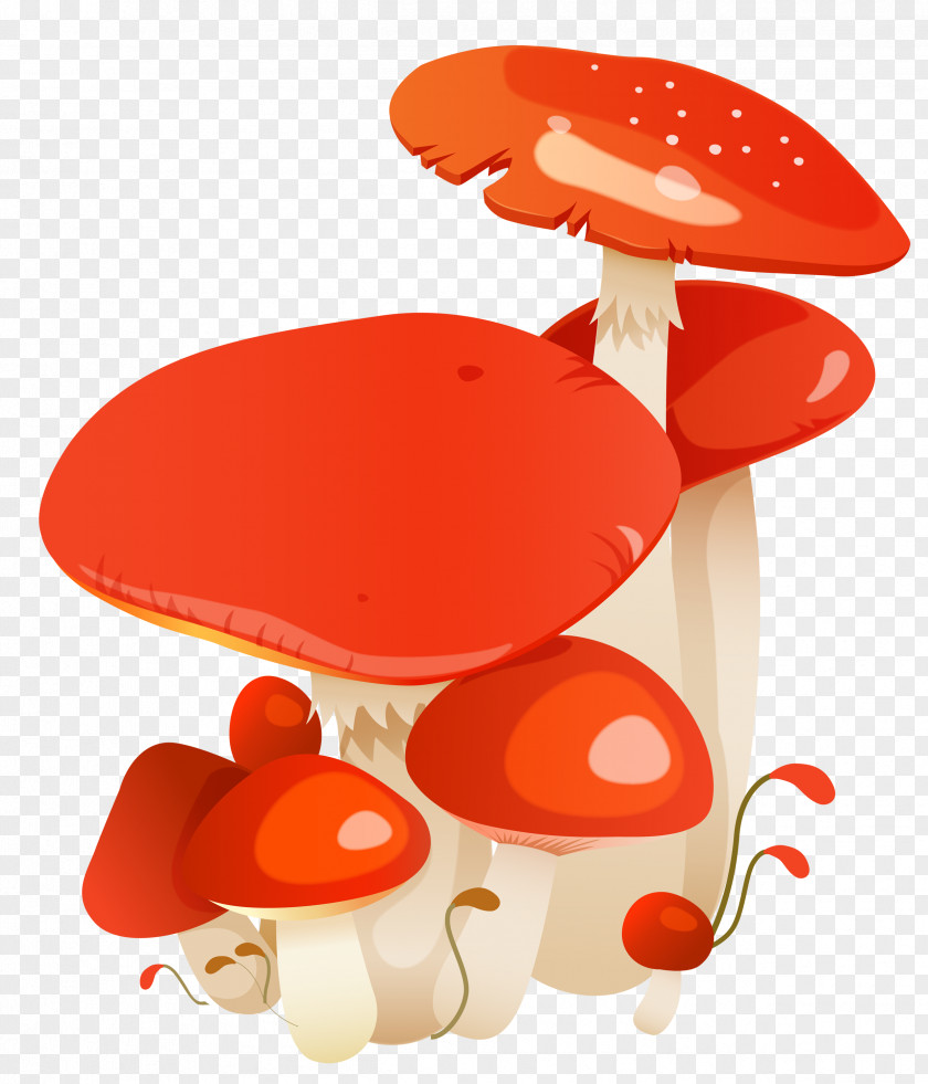 Mushroom Fungus Common PNG