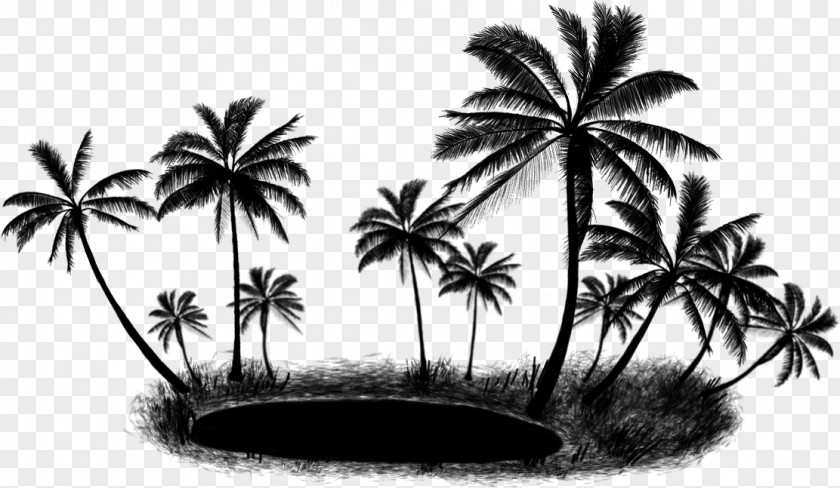 Asian Palmyra Palm Trees Coconut Clip Art PNG