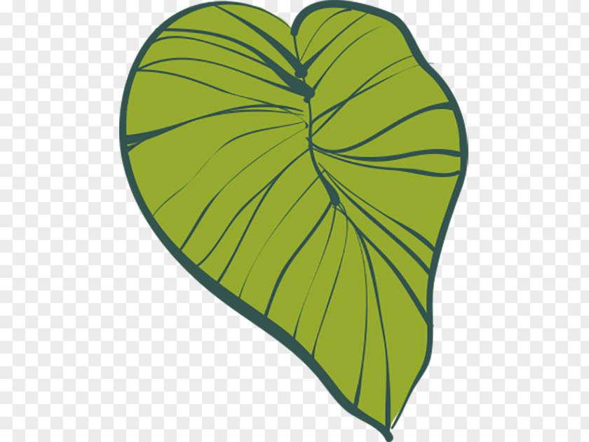 Cartoon Green Leaves Leaf Drawing PNG