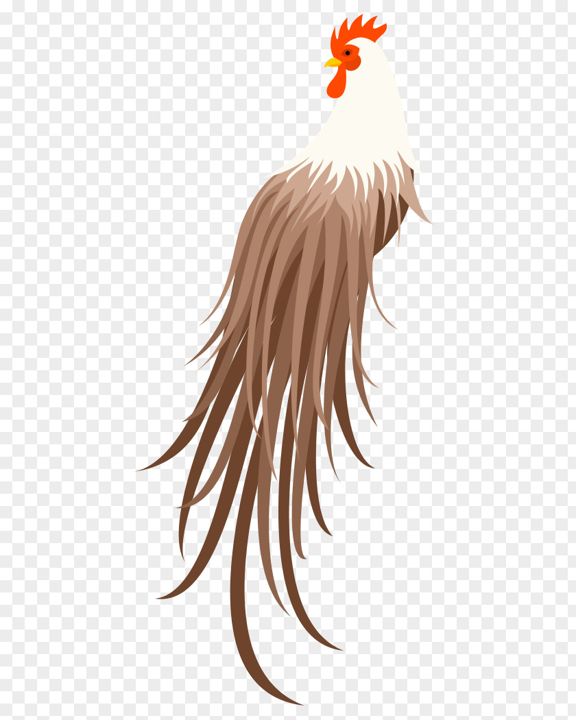 Chicken Rooster Poultry Bird Fowl PNG