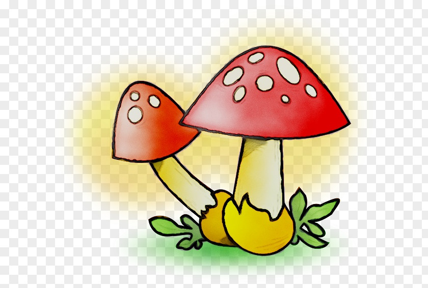 Edible Mushroom Drawing Clip Art Vector Graphics PNG