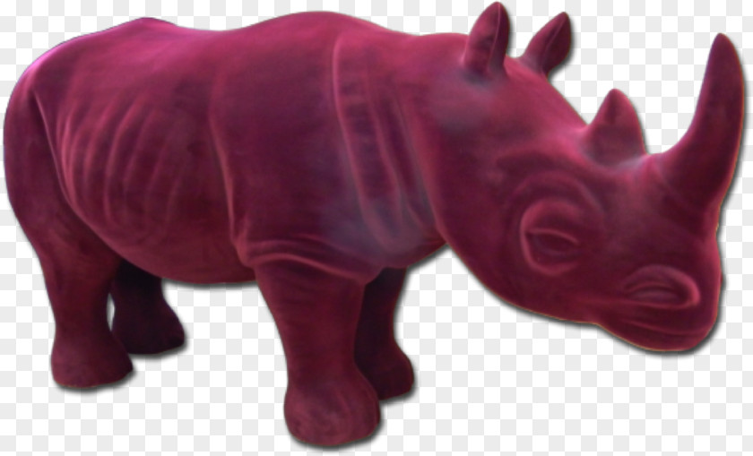 Jungle Decoration Rhinoceros Magenta Snout Terrestrial Animal PNG