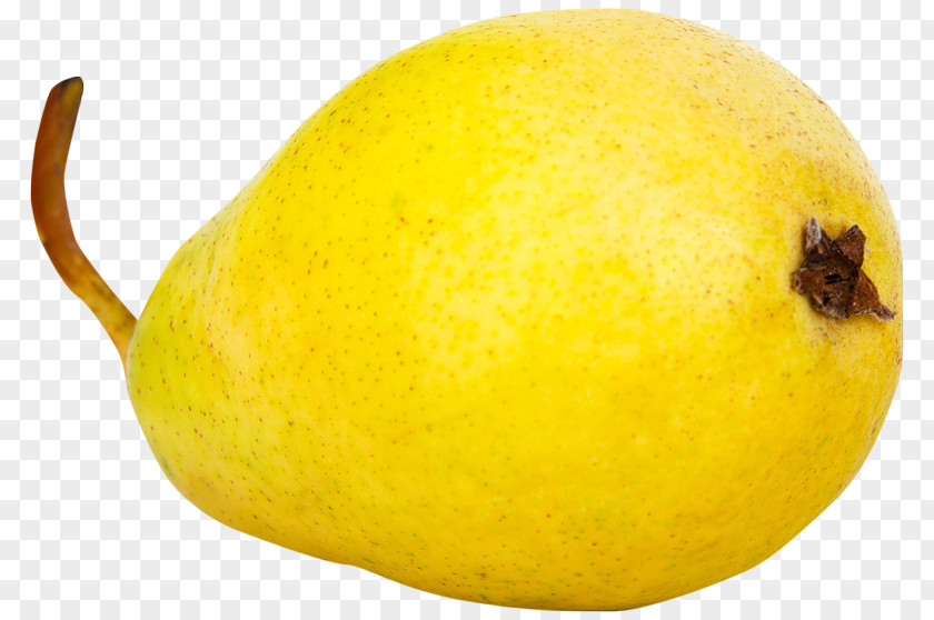 Mature Sydney Citron Lemon Pyrus Nivalis Lime PNG