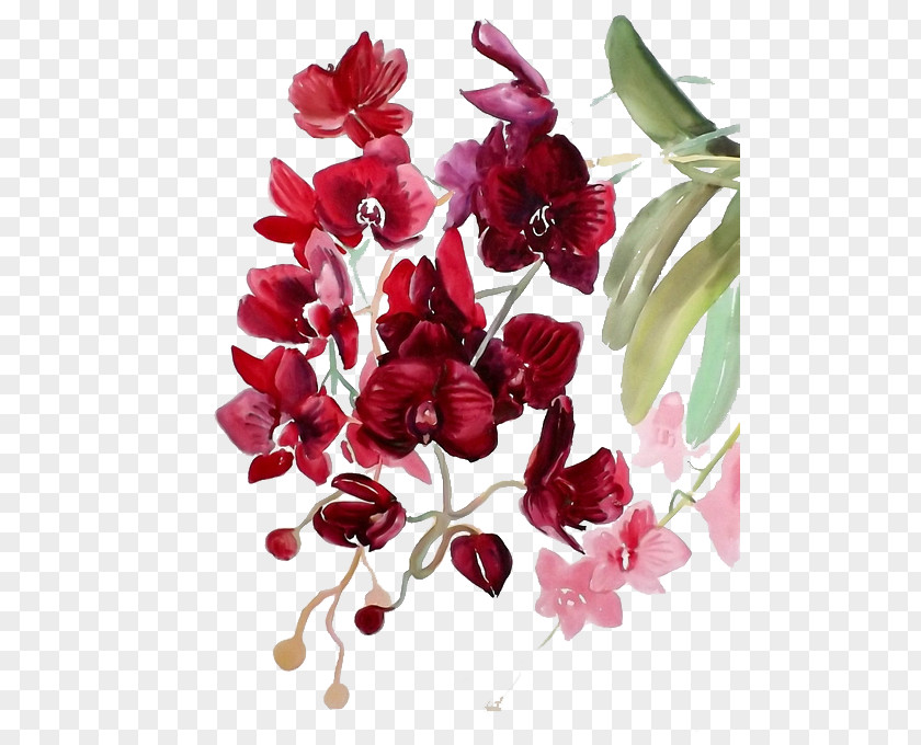 Red Flowers Watercolor Painting Watercolor: Watercolour Orchids PNG