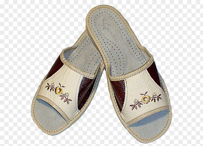 Sandal Slipper Shoe Walking PNG